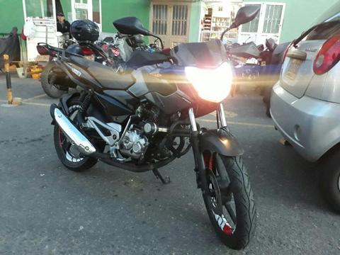 Pulsar 135