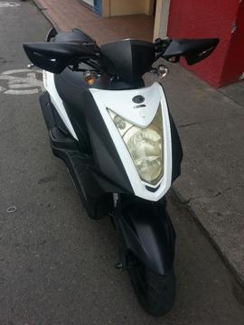 Hermosa Agility 2013