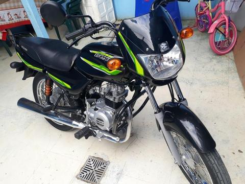 boxer ct modelo 2018