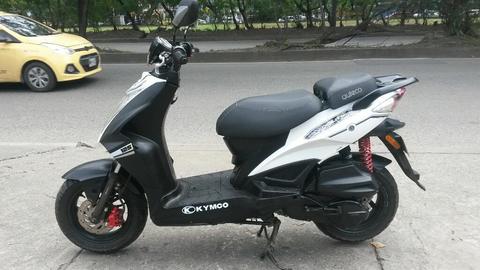 Agility 2012 Papeles Largos Nuevesita