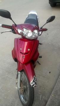 Vendo Moto Best Vinotinta 2013