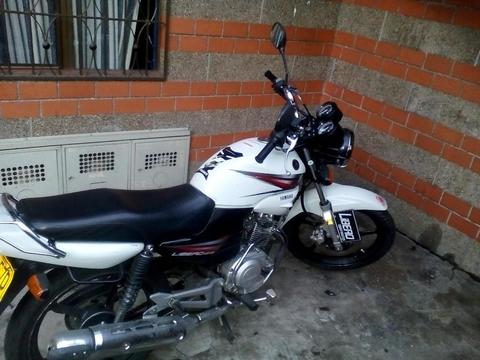 Vendo Libero 2016