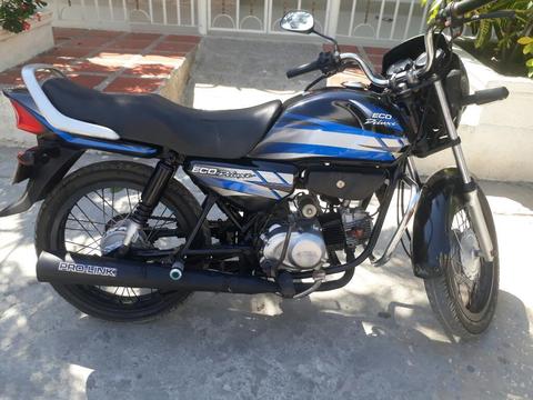 Eco de Luxe 2013 Anda Lindo