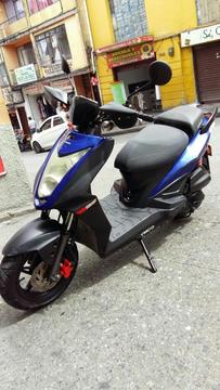 Agility 2014 Pepeles Nuevos