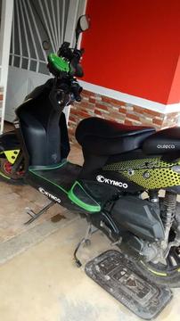 Moto Agility Xtreme