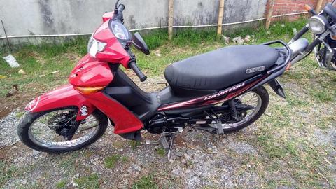 Vendo cryton