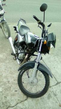 Gangaso Boxer Ct 100