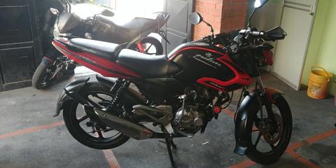 Pulsar 135 Modelo 2013