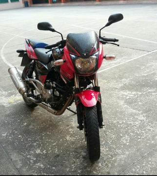 Pulsar 220 Sport 2013