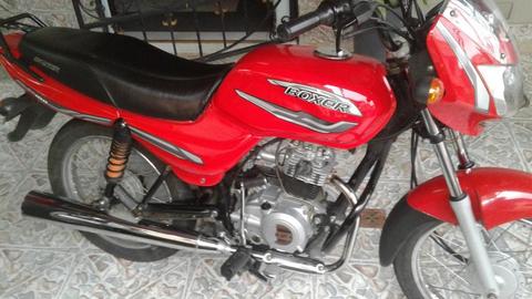 Boxer ct 100