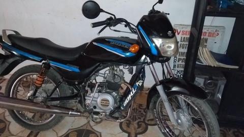 Vendo Linda Boxer Modelo 2016