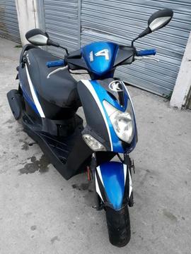 Gangazo Agility 2009 Al Dia