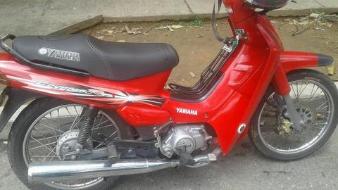 Vendo Cripton 2009