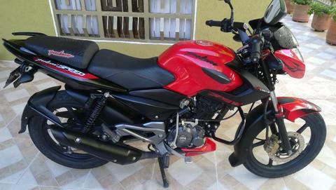 Pulsar Speed 2018