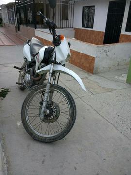 Remato Hond Ross Buena de Todo Al Dia