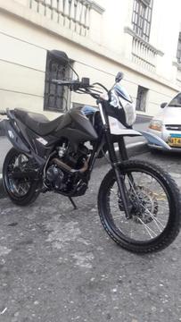 Tt 125 Papeles Al Día