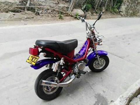 Vendo Moti