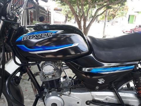 Boxer Ct Modelo 2015