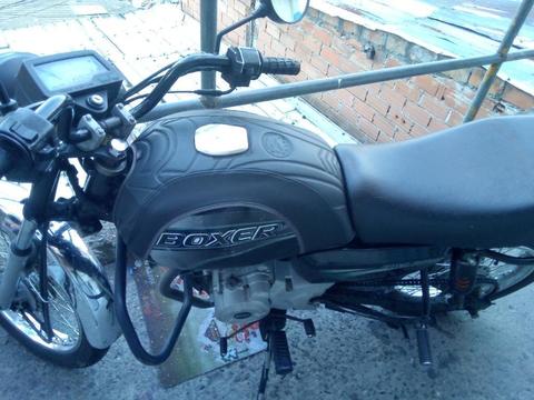 Boxer Bm 100 Modelo 2013