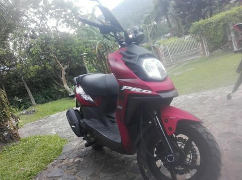 Moto Dinamyc Pro R 2018 Rojo Mate