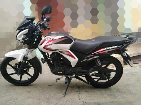 TVS 125 Stryker Modelo 2017