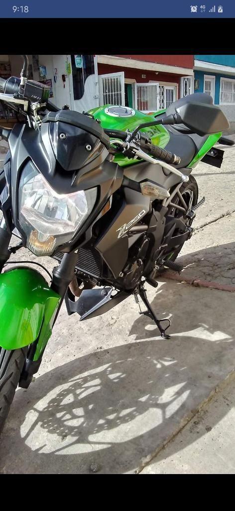 Kawasaki Z250sl 2015