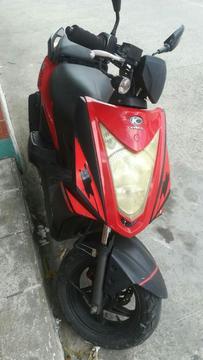 Linda Agility 2013.soat Hasat Mayo 2020