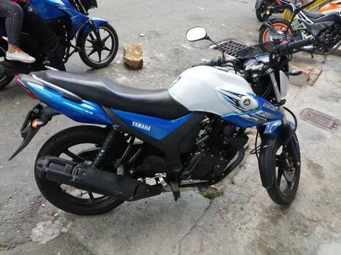 Szr 150 2019