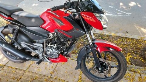 Pulsar Speed 2019