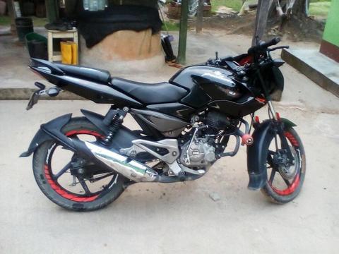 Pulsar 135 Ls