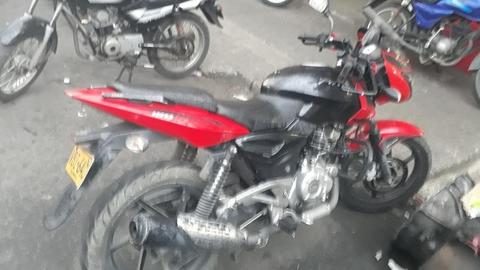 Pulsar 2013 Ug